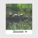 Search for green tortoise stickers Nature