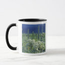 Search for pipe organ mugs Plant