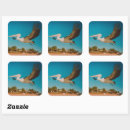 Search for western australia stickers Bird
