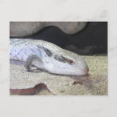 Search for tongue postcards Lizard