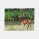 Search for danita delimont blankets Wildlife