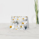 Search for daisies note cards Floral