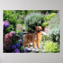 Search for golden retriever christmas decor Retrievers
