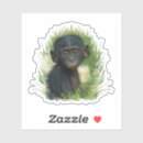 Search for great ape stickers Primate