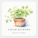 Search for parsley stickers Watercolor