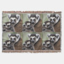 Search for lemur blankets Primate