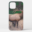 Search for near iphone cases Landscape