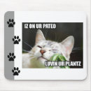 Search for lol electronics Kitteh
