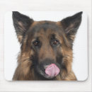 Search for looking front mousepads Domestic animals