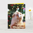 Search for feline christmas cards Pet lover