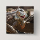 Search for laugh badges Photography