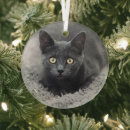 Search for grey kitten christmas tree decorations Pet