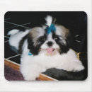 Search for shih mousepads Puppy
