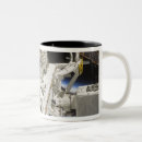 Search for 127 mugs Modules