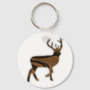 Search for antelope round key rings Nature