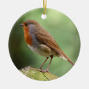Search for robin christmas tree decorations Photography
