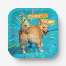 Search for funny birthday plates Celebration