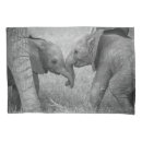 Search for african elephant pillowcases Animals in the wild