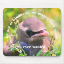 Search for bird quotes mousepads Inspirational
