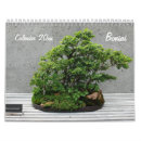 Search for bonsai image Green