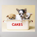 Search for cake posters Colour image