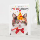 Search for calico cat cards Cats
