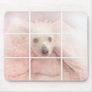 Search for hairless mousepads Dog