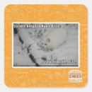 Search for stealth stickers I can has cheezburger