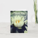 Search for lotus flower cards Water lily