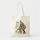 Search for ape accessories Darwin
