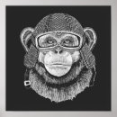 Search for chimpanzee posters Cute