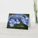 Search for hydrangeas birthday cards Blue