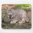 Search for lynx mousepads Wildlife