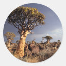 Search for daytimer stickers Colour image