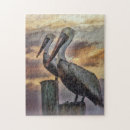 Search for pelican puzzles Sea