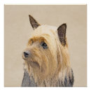 Search for silky posters Terrier