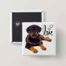Search for rottweilers badges Cute