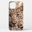 Search for panthers iphone cases Big cats