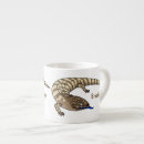 Search for blue tongue lizard Skink