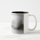 Search for square head mugs Animal