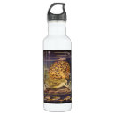 Search for little mermaid water bottles Fantasy