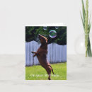 Search for bubbling cards Humour