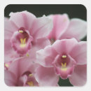 Search for up close stickers Beautiful