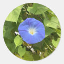 Search for gardening stickers Country