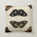 Search for insect cushions Butterflies