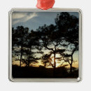 Search for san diego christmas tree decorations Landscape