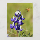 Search for bee postcards Purple