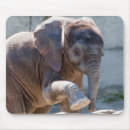 Search for elephant mousepads Sweet