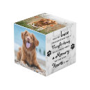 Search for pet photo cubes In loving memory