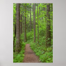 Search for columbia gorge posters Green